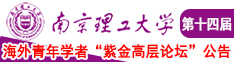 快点来干骚我视频南京理工大学第十四届海外青年学者紫金论坛诚邀海内外英才！